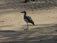 DSC02586
