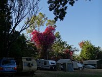 DSC02776  Kununurra Campingplatz