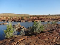 DSC02926  Fitzroy River, Mornington Wildernes Camp