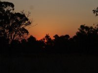 DSC03086  Sonnenaufgang, Manning Gorge