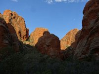 DSC03228  Bungle Bungles, Homestead Valley