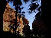 DSC03273  Bungle Bungles, Mini Palms Gorge