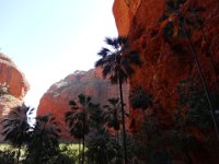 DSC03282  Bungle Bungles, Mini Palms Gorge