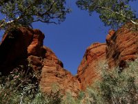 DSC03283  Bungle Bungles, Mini Palms Gorge