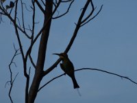 DSC03407