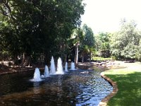 IMG 2507  Bot. Garten Darwin