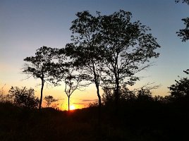 IMG_0293