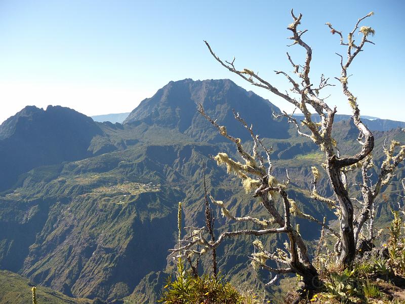 P1010851.JPG - Piton Maido, Cirque de Fafate