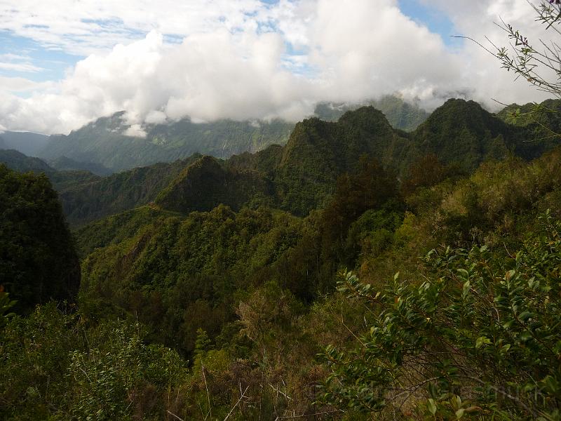 P1020254.JPG