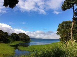 IMG_0220
