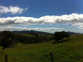 IMG_0231