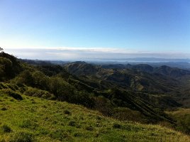IMG_0264