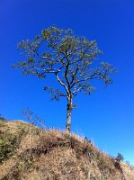 IMG_0267