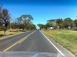 IMG_0273