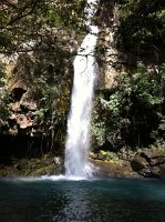 IMG_0347