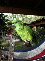 IMG_0353