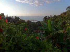 IMG_0380
