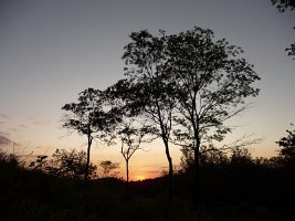 P1040663